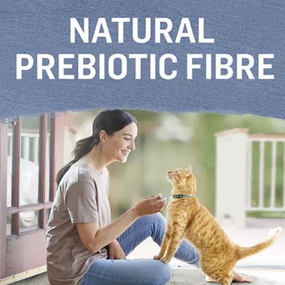 Product Beyond Adult Wet Cat Food Pâté - Trout & Catfish Recipe, 85 g