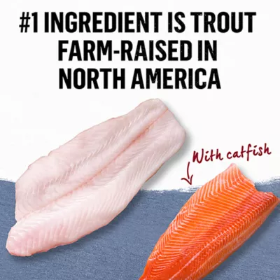 Product Beyond Adult Wet Cat Food Pâté - Trout & Catfish Recipe, 85 g