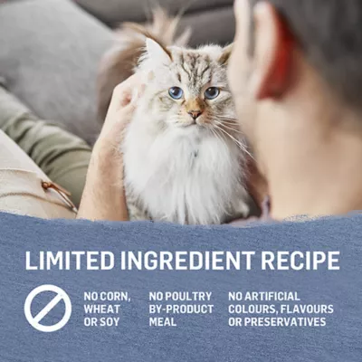 Product Beyond Adult Wet Cat Food Pâté - Trout & Catfish Recipe, 85 g