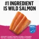Product Beyond Adult Wet Cat Food Pâté - Wild-Caught Salmon Recipe, 85 g