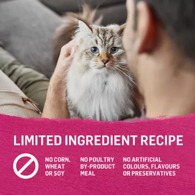 Product Beyond Adult Wet Cat Food Pâté - Wild-Caught Salmon Recipe, 85 g