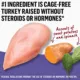 Product Beyond Adult Wet Cat Food In Gravy - Cage-Free Turkey, Sweet Potato & Spinach, 85 g