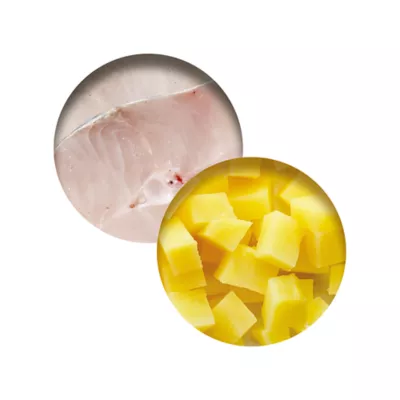 Product Catit® Fish Dinner Adult Cat Food with Tilapia and Potato in Gravy, Low Fat