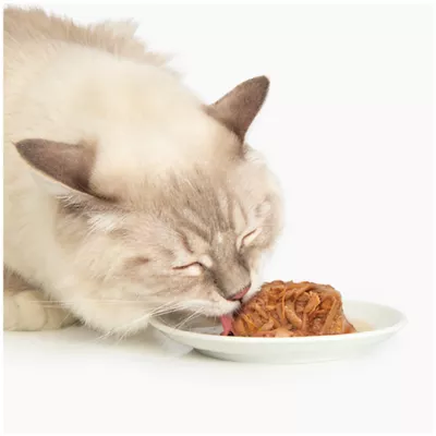 Product Catit Dinner Wet Cat Food - Fish  with Layer of Whitefish & Pumpkin, 75g (2.65oz)