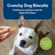 Product Blue Buffalo®   All Life Stages Treat Dog Treats - Natural