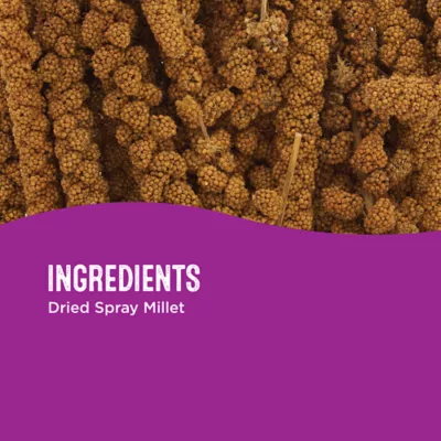 Product All Living Things® Spray Millet Bird Treat