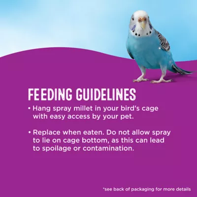 Product All Living Things® Spray Millet Bird Treat