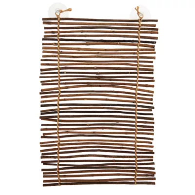 Product Thrive Climbing Reptile Branch Ladder