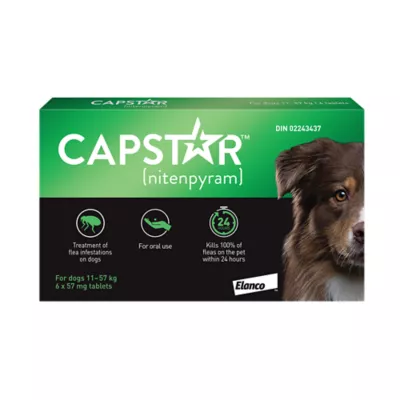 Product Capstar™ Large Dog Oral Flea Treatment - 6 Count