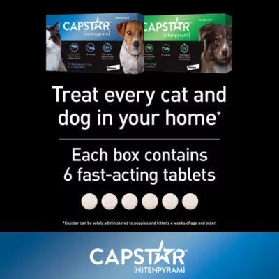 Product Capstar™ Small Dog & Cat Oral Flea Treatment - 6 Count