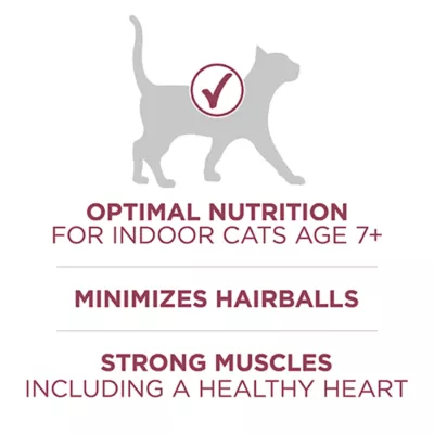 Product Purina ONE +Plus Dry Cat Senior 7+ Food - Chicken, 1.8 kg