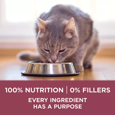 Product Purina ONE +Plus Dry Cat Senior 7+ Food - Chicken, 1.8 kg
