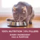 Product Purina ONE +Plus Dry Cat Senior 7+ Food - Chicken, 1.8 kg