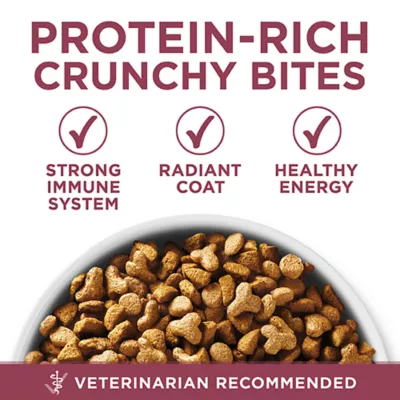Product Purina ONE +Plus Dry Cat Senior 7+ Food - Chicken, 1.8 kg