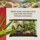 Product Thrive Reptile Terrarium - 5.5 Gallon
