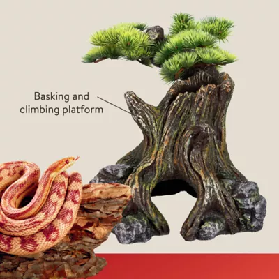 Product Thrive Bonsai Tree Reptile Decor