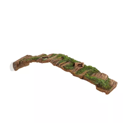 Product Thrive Hollow Wood Reptile Ramp