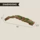Product Thrive Hollow Wood Reptile Ramp