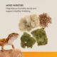 Product Thrive Desert Reptile Decorating Kit