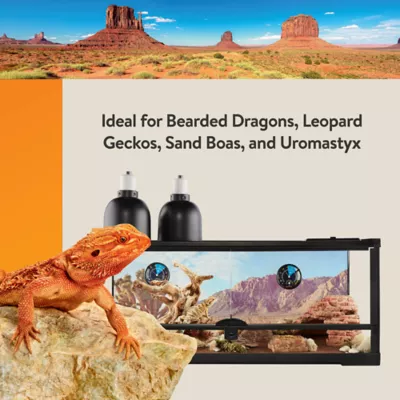 Product Thrive Desert Reptile Decorating Kit