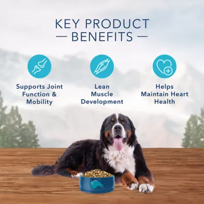 Product Blue Buffalo® Wilderness™ Large Breed Adult Dry Dog Food - Grain Free, Salmon