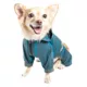 Product Dog Helios™ "Namastail" Performance Pet Tracksuit