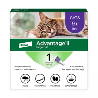Product Advantage® II Over 9 lbs Cat Flea Prevention & Treatment