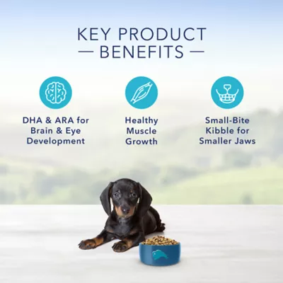 Product Blue Buffalo® Life Protection Formula™ Small Breed Puppy Dry Dog Food - Natural, Chicken