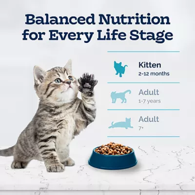 Product Blue Buffalo® Tastefuls™ Healthy Growth Kitten Dry Cat Food, Natural, Chicken & Brown Rice