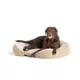 Product Top Paw® Orthopedic Premium Support Oval Lounger Dog Bed