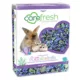Product carefresh® Special Edition Small Pet Bedding - Sea Glass