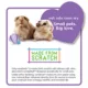 Product carefresh® Special Edition Small Pet Bedding - Sea Glass