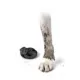 Product Pawz Rubber Dog Boots - Black