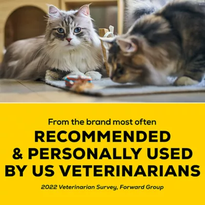 Product Tidy Cats LightWeight All Life Stages Cat Litter-with Glade Clean Blossoms Multi-Cat