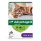 Product Advantage® II Large Cat Once-A-Month Topical Flea Treatment - Over 4 kg