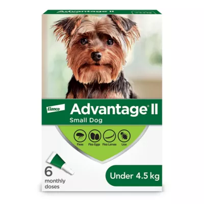 Product Advantage® II Once-A-Month Topical Flea Treatment for Dogs Under 4.5 kg
