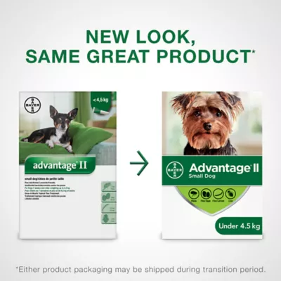 Product Advantage® II Once-A-Month Topical Flea Treatment for Dogs Under 4.5 kg