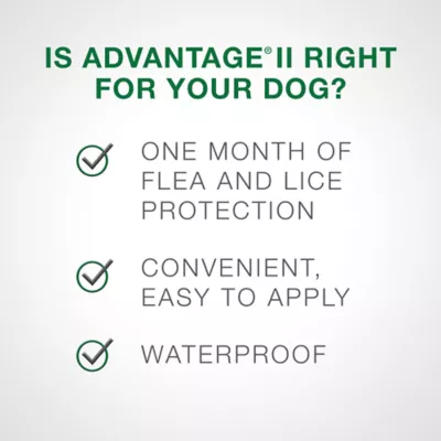Product Advantage® II Once-A-Month Topical Flea Treatment for Dogs Under 4.5 kg