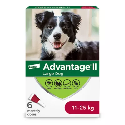 Product Advantage® II Large Dog Once-A-Month Topical Flea Treatment - 11 to 25 kg