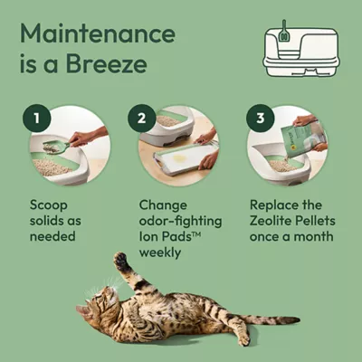 Product Purina Tidy Cats Breeze XL Cat Litter Box System Starter Kit - Litter Box, Pellets & Pads
