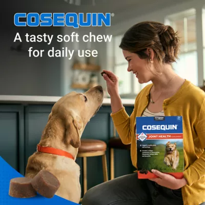 Product Nutramax® Cosequin® DS Joint Health Supplement for Dogs - Soft Chews with MSM & Boswellia
