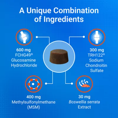 Product Nutramax® Cosequin® DS Joint Health Supplement for Dogs - Soft Chews with MSM & Boswellia