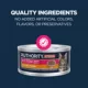 Product Authority® Everyday Health Indoor Kitten Cat Wet Food - 5.5 Oz, Pate, With-Grain