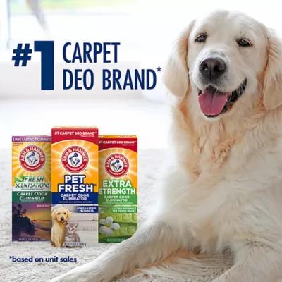 Product Arm & Hammer Plus OxiClean Pet Fresh Dirt Fighters Carpet Odor Eliminator