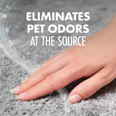 Product Arm & Hammer Plus OxiClean Pet Fresh Dirt Fighters Carpet Odor Eliminator