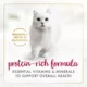 Product Fancy Feast® Senior Senior Cat Wet Food - 3.33 oz., High-Protein, Antioxidants