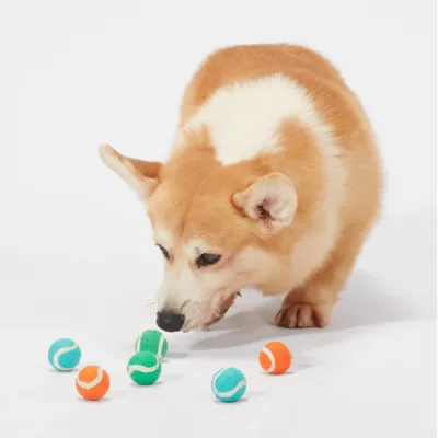Product Joyhound® Game On Tennis Ball Dog Toys - 6 Pack