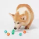 Product Joyhound® Game On Tennis Ball Dog Toys - 6 Pack