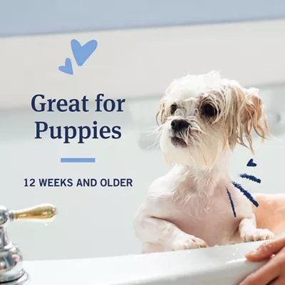 Product PetArmor® Plus Flea & Tick Oatmeal Shampoo for Dogs