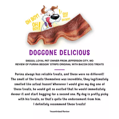 Product Purina® Beggin'® Strips All Life Stage Dog Treats - Original with Bacon Flavor